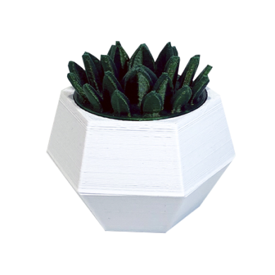 Picador 3D PicAr Cactus 4 Partes