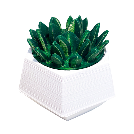 Picador 3D PicAr Cactus 4 Partes